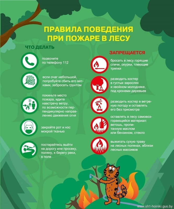 Правила поведения в ле Правила поведения в ле